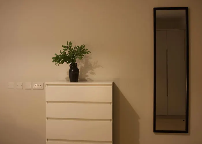 民宿 King With Garden View 都柏林